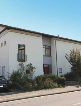 Architektenhaus mit Split-Level-Charme und Panorama-Terrasse - Hattersheim (Main)