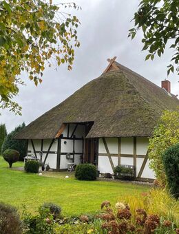 Niederdeutsches reetgedecktes Hallenhaus auf einem Parkgrundstück in 18182 Blankenhagen - Blankenhagen