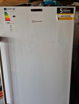 Gefrierschrank 309l, fast neu, kaum gebraucht aus Platzgründen zu verkaufen - Kerpen (Kolpingstadt) Zentrum