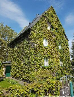 Schönes, von wildem Wein umwachsenes Haus - keine Schäden, da der Wein sich nur mit Saugnäpfen hält. - Limbach-Oberfrohna