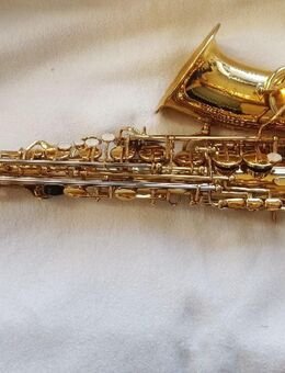 Altsaxophon Arnold & Son AAS-100 mit Zubehör - Roßbach (Landkreis Neuwied)