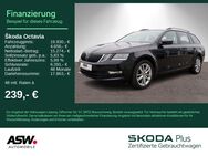 Skoda Octavia, 2.0 TDI Combi Ambition, Jahr 2020 - Bad Rappenau