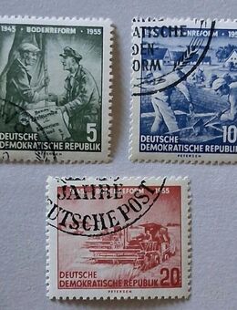 DDR 1955 komplett gestempelt Satz - Görlitz