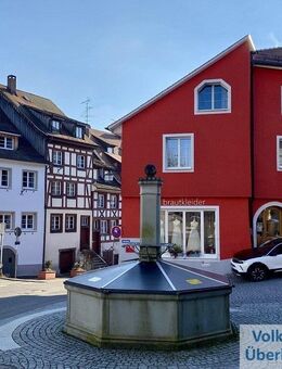 Wunderschönes, voll saniertes 5-Parteien-Haus mit 2 Gewerbeeinheiten im Überlinger Dorf - Überlingen