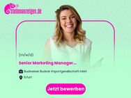Senior Marketing Manager (m/w/d) - Erfurt