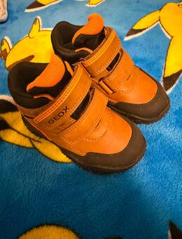 Geox Kinder Schuhe - Wuppertal