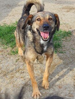 Sandrina 48 cm - Alpenrod