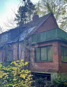 VERWUNSCHENE FAMILIENOASE IM GRÜNEN - Dannenberg (Elbe)