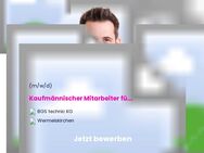 Kaufmännischer Mitarbeiter (m/w/d) für Import & Logistikkoordination - Wermelskirchen
