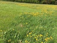 ACHTUNG! SONNIGES GRUNDSTÜCK MIT HAUSPROJEKT FÜR IHR FAMILIENGLÜCK! - Gelenau (Erzgebirge)