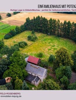 Renovierungsbedürftiges Einfamilienhaus mit großem Grundstück in Döbeln - Viel Platz für eigene Ideen - Döbeln
