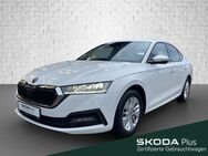 Skoda Octavia, 2.0 TDI Automatik - Ambition, Jahr 2020 - Wasserburg (Inn)