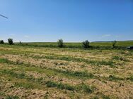 Ein Grundstück zum Bauen im Teilort von Bad Schussenried - Bad Schussenried