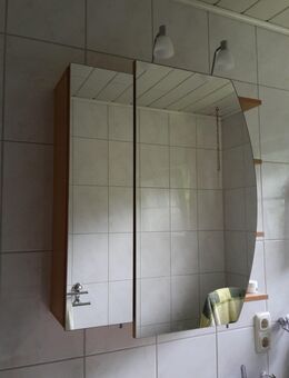 Spiegelschrank/ Spülstein Kombi billig abzugeben - Minden (Nordrhein-Westfalen)