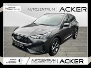 Ford Kuga, 1.5 EcoBoost ST-Line PSD, Jahr 2024 - Bad Berleburg