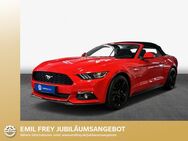 Ford Mustang, 2.3 Cabrio Eco Boost, Jahr 2015 - Pforzheim