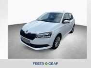 Skoda Fabia, 1.0 TSI Ambition, Jahr 2020 - Roth (Bayern)