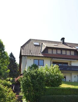 Geräumiges Schwarzwaldhaus mit Panoramablick & großer Terrasse - Baiersbronn