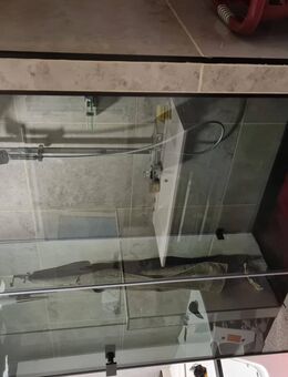 Wunderschöne Wohnung 4 Raum Zwickau Marienthal neu saniert zu verkaufen - Zwickau