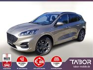 Ford Kuga, 2.0 EB 190 ST-LineX, Jahr 2020 - Freiburg (Breisgau)