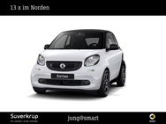 smart EQ fortwo, prime 22KW, Jahr 2019 - Mölln (Schleswig-Holstein)