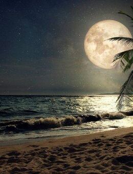 Papermoon Fototapete STRAND-NATUR PALMEN MEER DÜNEN MOND PALME LANDSCHAFT