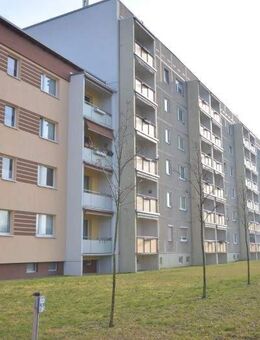 Wohnung wird renoviert, frei ab Januar mit Singleküche und Dusche - Nünchritz