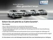 VW Golf, 1.0 TSI Life KlimaA, Jahr 2024 - Regensburg