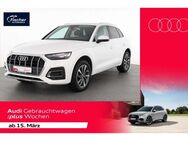 Audi Q5, 40 TDI qu advanced, Jahr 2021 - Neumarkt (Oberpfalz)