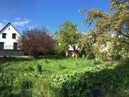 Butzbach: Modernes Einfamilienhaus in ruhiger Lage mit großem Grundstück und Blick ins Grüne - Butzbach (Friedrich-Ludwig-Weidig-Stadt)