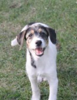 Lulu mit großem Herz - Ellerbek