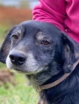 Wundervolle LEYA - Gefrees