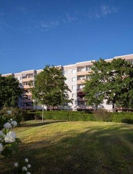 Familienfreundliche 4-Zimmerwohnung in Halle-Neustadt - Halle (Saale)