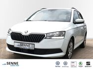 Skoda Fabia, 1.0 TSI Combi, Jahr 2019 - Barsinghausen