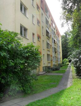 Tolle 1-Raumwohnung im Erdgeschoss! - Weimar