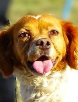 Wundervolle ZOI - Gefrees