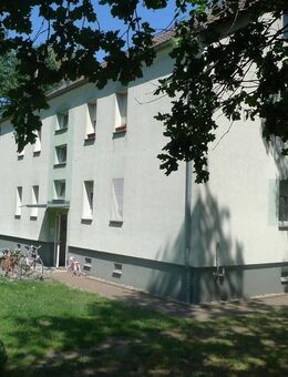 3 Raum-Wohnung in Grüner Umgebung 1. Obergeschoss rechts - Schenkendöbern