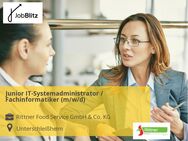 Junior IT-Systemadministrator / Fachinformatiker (m/w/d) - Unterschleißheim