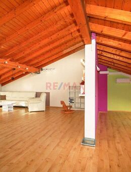 Charmanter Bungalow mit schönem Garten, viel Privatsphäre und sonniger Terrasse - Ludwigshafen (Rhein)