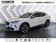 CUPRA Formentor, 2.0 TDI °, Jahr 2023 - Ahrensfelde