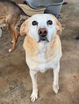 LILY IST BEREIT FÜR EINE EIGENE FAMILIE - Mönchengladbach