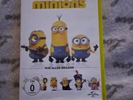 Minions - Wie alles begann - Nordenham