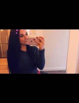 Tapezierer gesucht - Hamburg