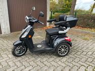 Rolektro E-trike - Bordesholm