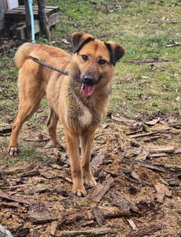 Klug sehr menschenbezogen sozial=KAYA♥️ - München