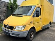 Sprinter Mercedes 308 CDI 903.6 P Postkoffer BJ2003 nur 112tkm 3 - Schotten Zentrum