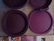 Tupperware Microwelle Dampfgarerset gebraucht - Bad Saulgau