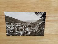 Ansichtskarte-AK-689-Herrenalb, Blick vom Marienweg. - Nörvenich