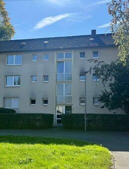 Bezugsfertig renovierte 2,5 Zi.-Wohnung mit bodentiefer Dusche - Bochum