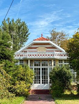Neues Zuhause gesucht - Friedberg